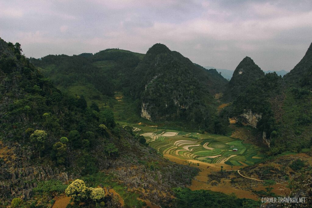 Phong cảnh Tả Lủng
